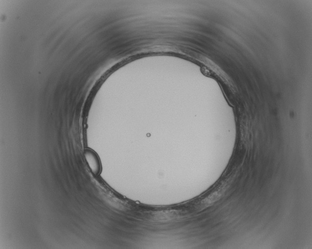 X0000077280988200611101313