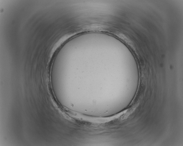 X0000077280989200611101313