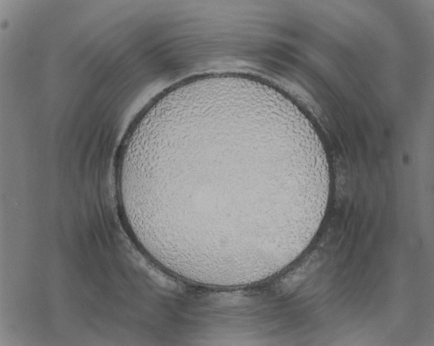 X0000077280990200611101313