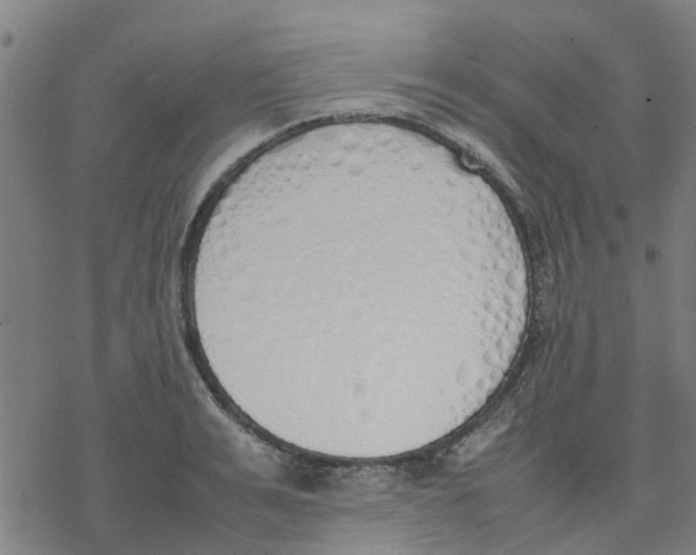 X0000077280991200611101313