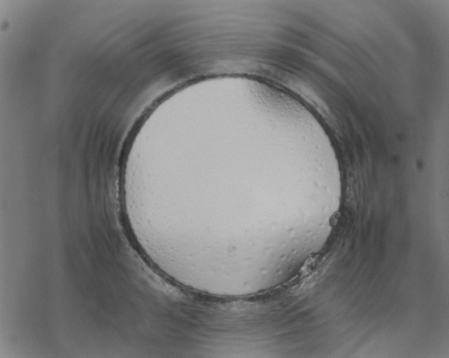 X0000077280992200611101313