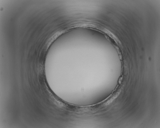 X0000077280993200611101313