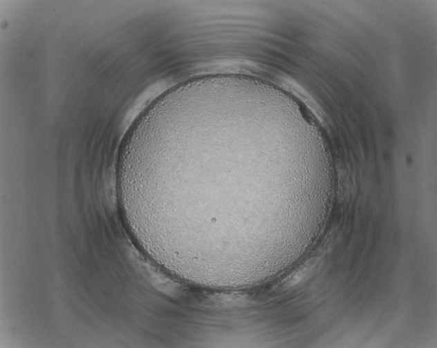 X0000077280994200611101313