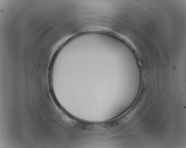 X0000077280995200611101313