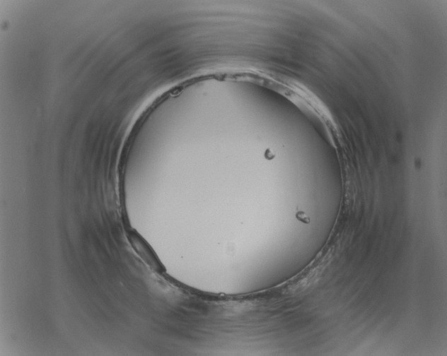 X0000077280996200611101313