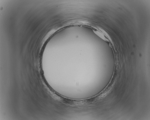 X0000077280997200611101313