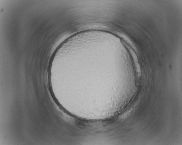 X0000077280999200611101313