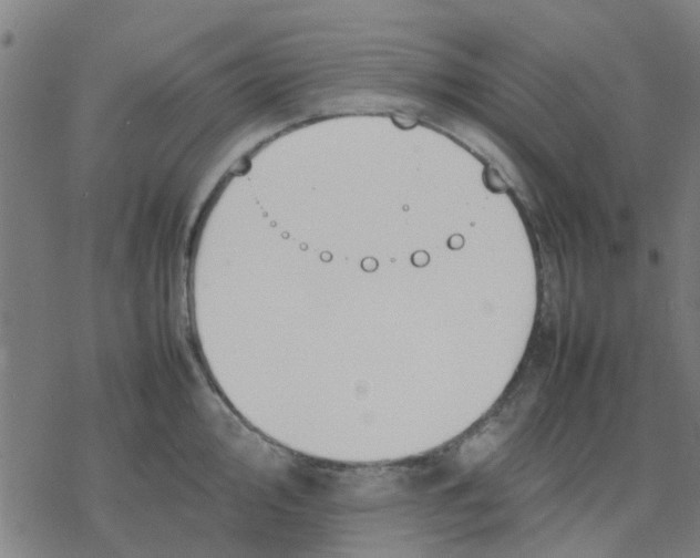 X0000077281000200611101313