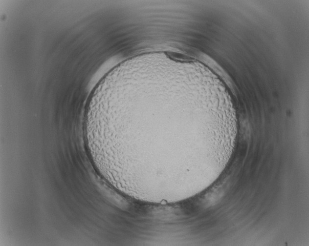 X0000077281002200611101313