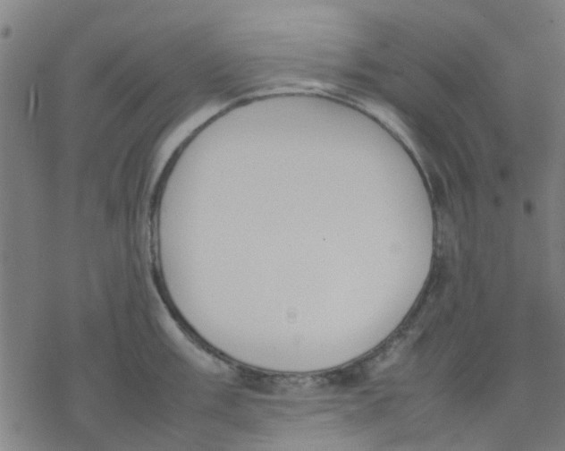 X0000077281003200611101313