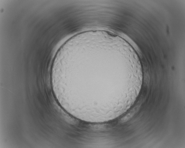 X0000077281004200611101313