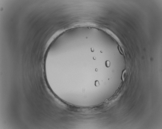 X0000077281005200611101313