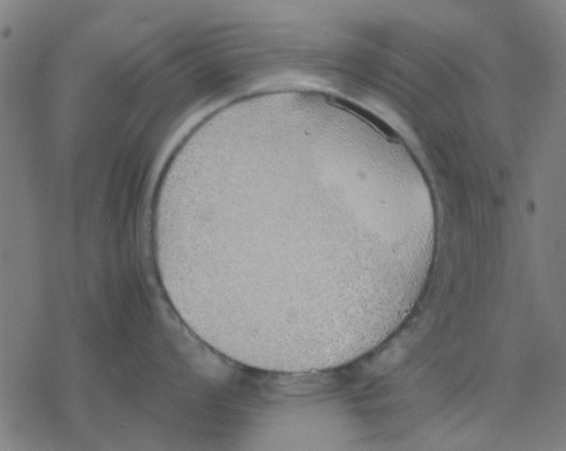 X0000077281008200611101313