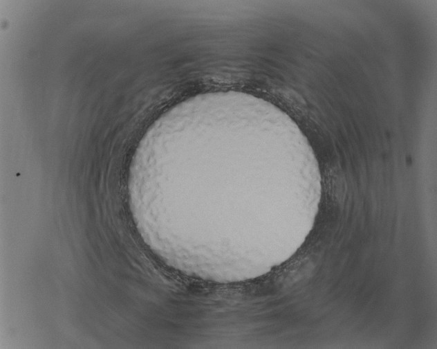 X0000077281009200611101312