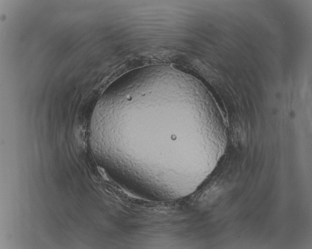 X0000077281010200611101312