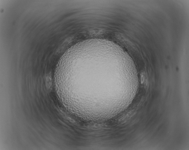 X0000077281011200611101312