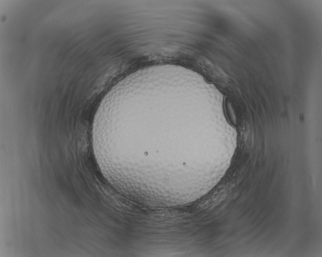 X0000077281012200611101312