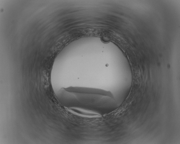 X0000077281013200611101312