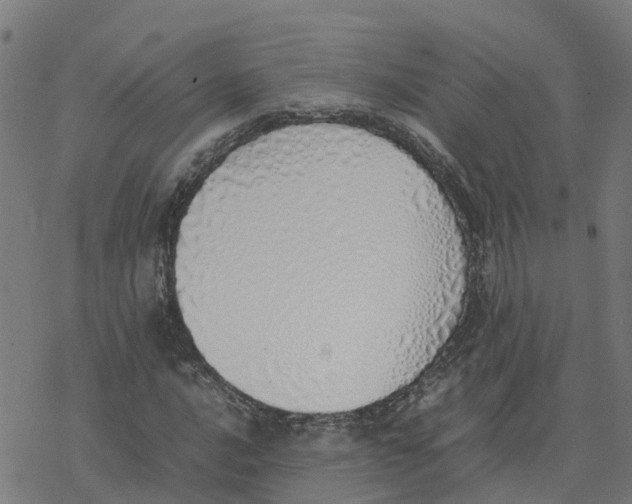 X0000077281016200611101312