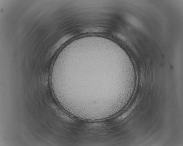 X0000077281017200611101312