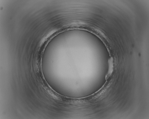 X0000077281018200611101312