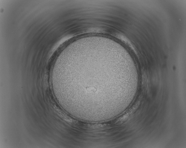 X0000077281019200611101312