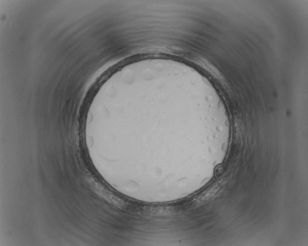 X0000077281020200611101312