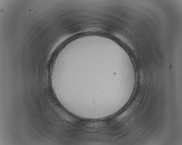 X0000077281021200611101312