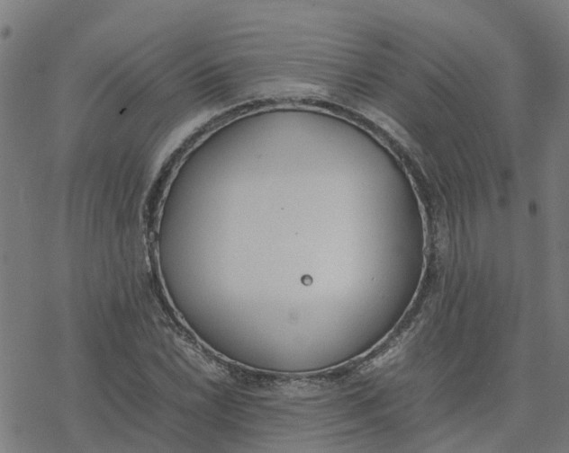 X0000077281022200611101312