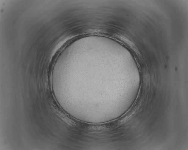 X0000077281023200611101312