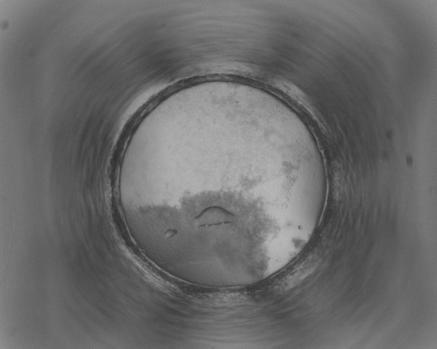 X0000077281024200611101312