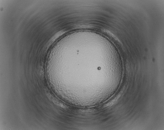 X0000077281025200611101312