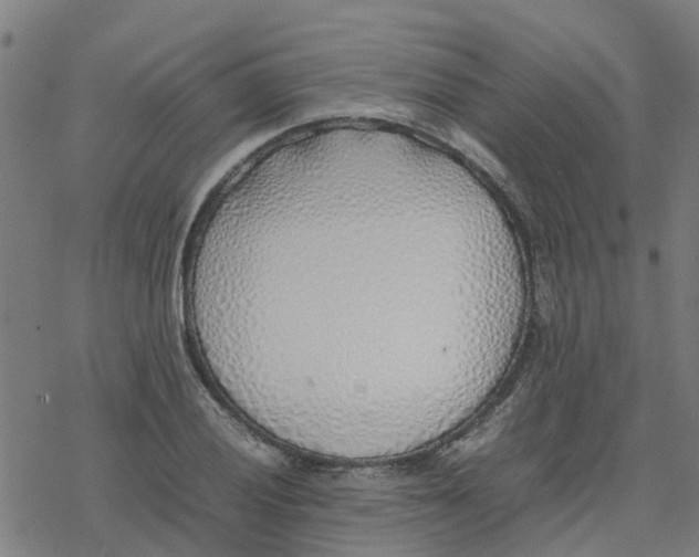 X0000077281028200611101312