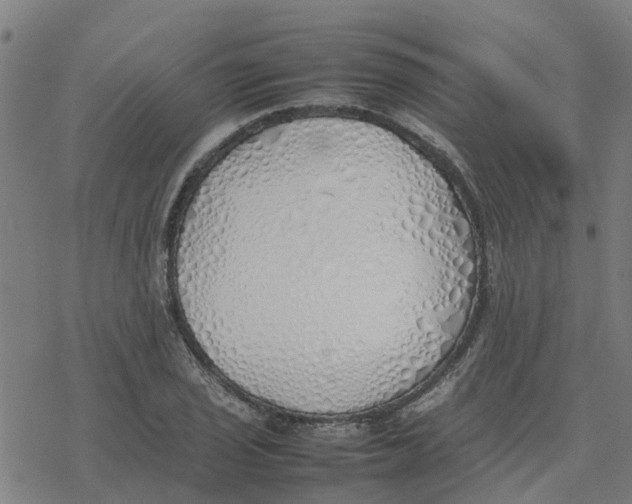 X0000077281029200611101312