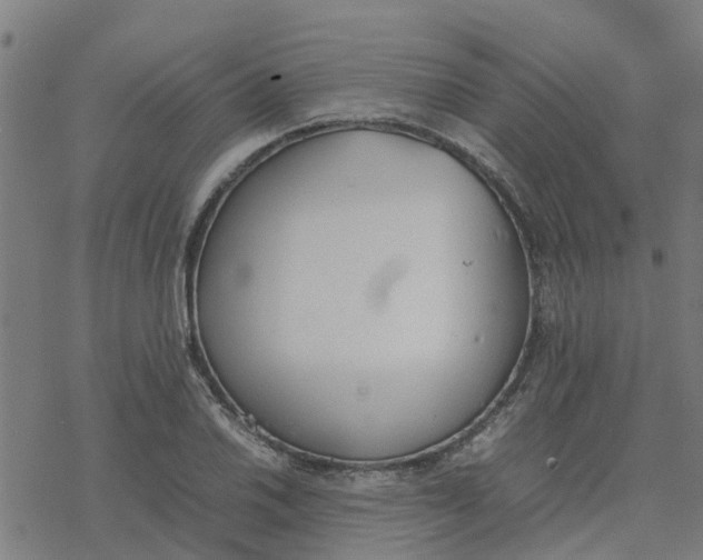 X0000077281030200611101312