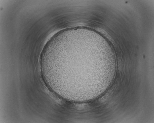 X0000077281031200611101313