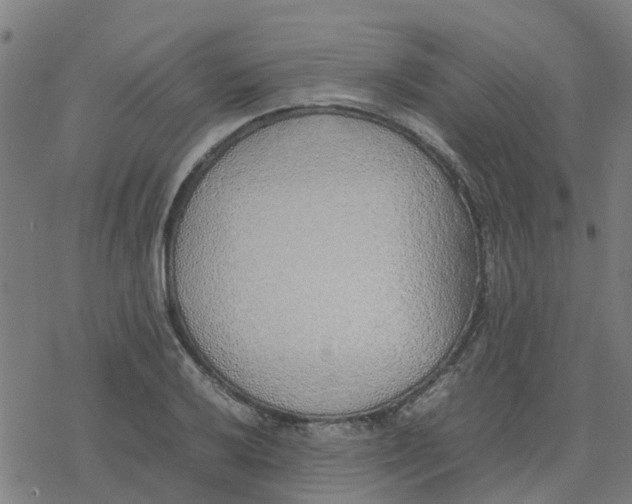 X0000077281032200611101313