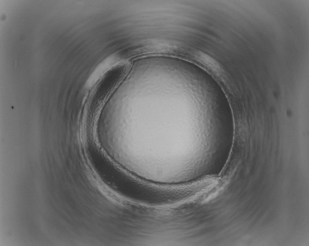 X0000077281034200611101313