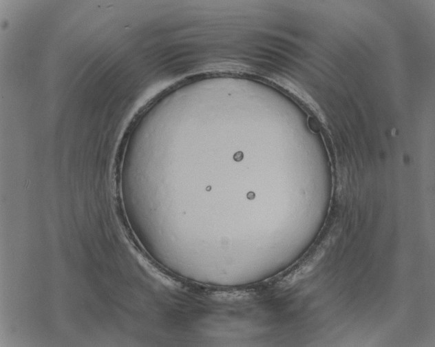 X0000077281037200611101313