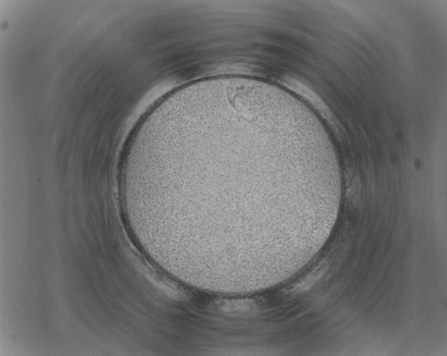 X0000077281043200611101313