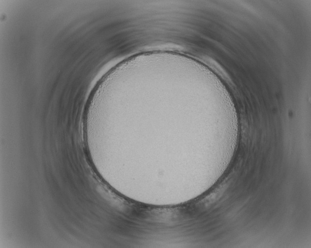 X0000077281044200611101313