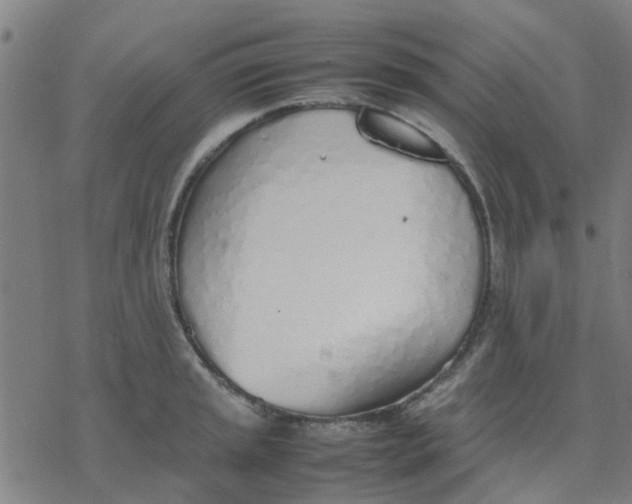 X0000077281045200611101313