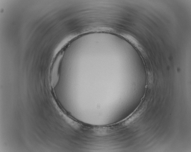 X0000077281046200611101313