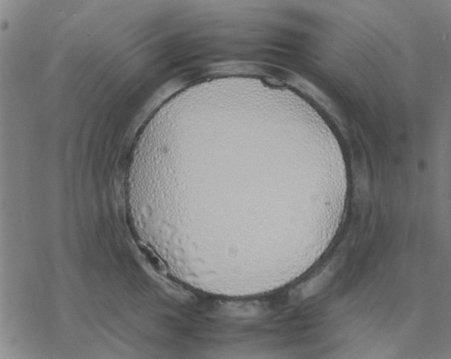 X0000077281049200611101313