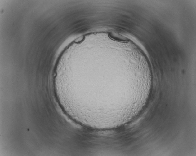 X0000077281053200611101313