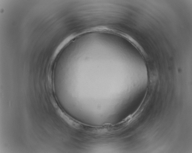 X0000077281054200611101313