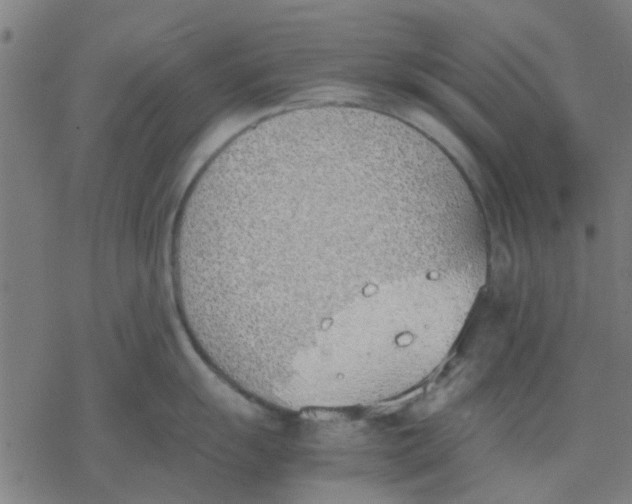 X0000077281055200611101313