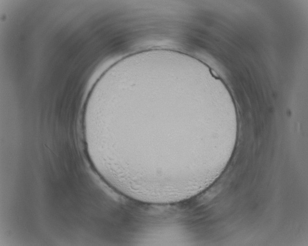 X0000077281056200611101313