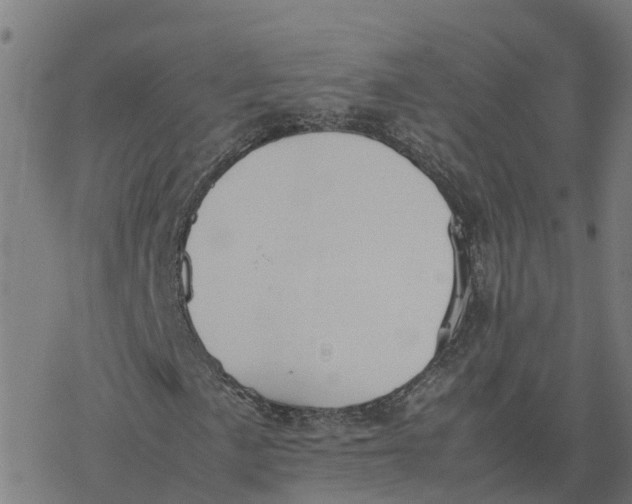 X0000077281057200611101312