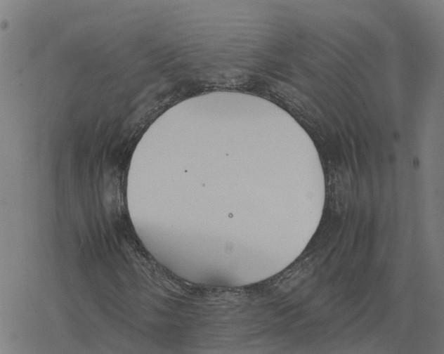 X0000077281058200611101312